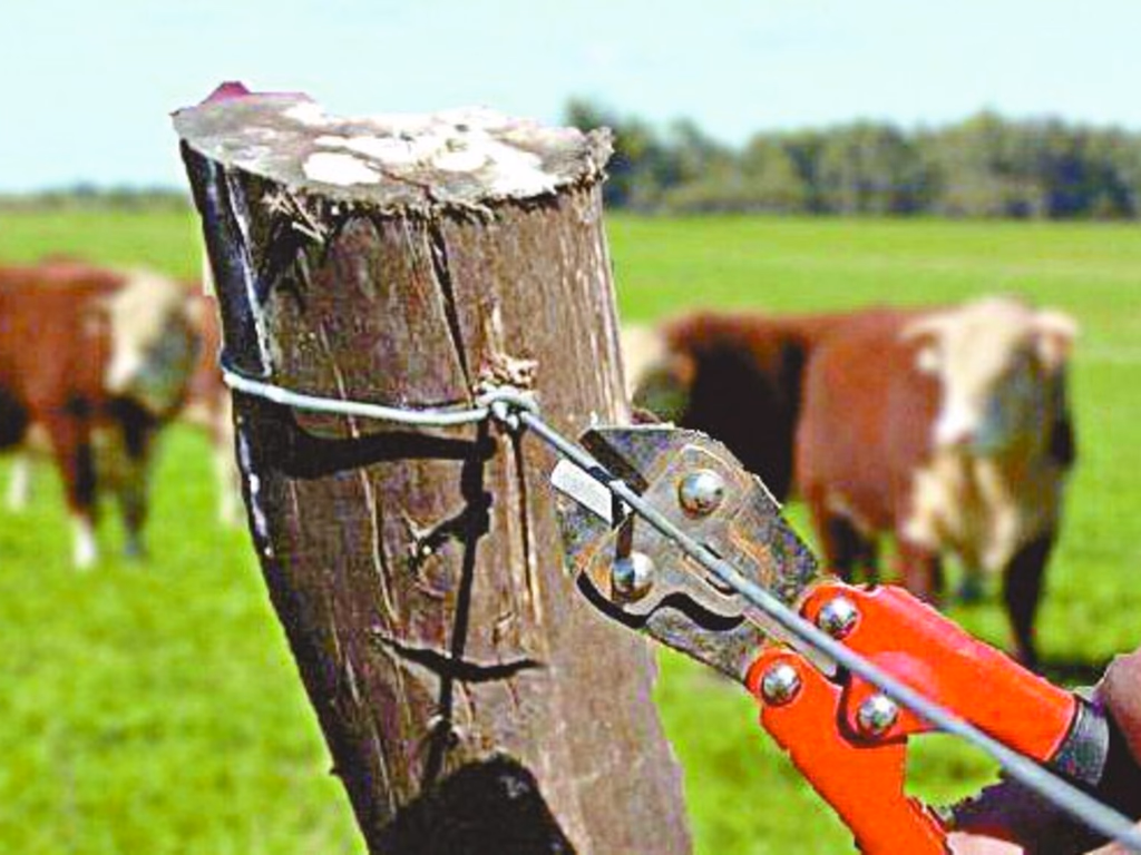 Redução de crimes patrimoniais atinge novos recordes