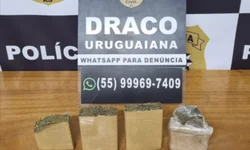 Em Bom Jesus, PC prende criminoso de Uruguaiana