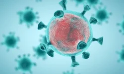 Barreira sanitária já atendeu mais de 2 mil motoristas