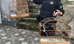 Plano municipal combate violência sexual contra crianças