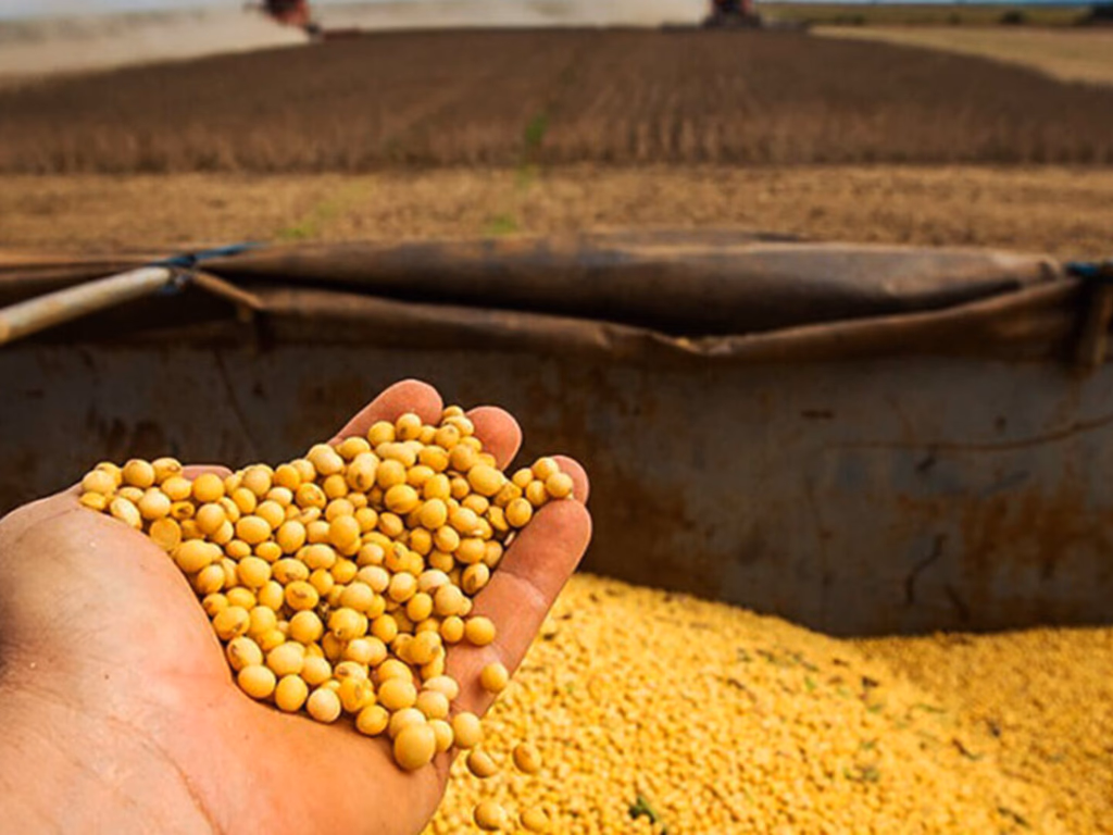 Lideranças do setor avaliam volume de recursos do Plano Safra