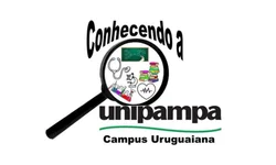 Universitários gaúchos conquistam 1º lugar em campeonato nacional