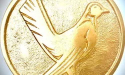 Criação de nova turma da BM é indicada por Bancada Progressista