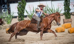 Grêmio domina e vence o Grenal 439