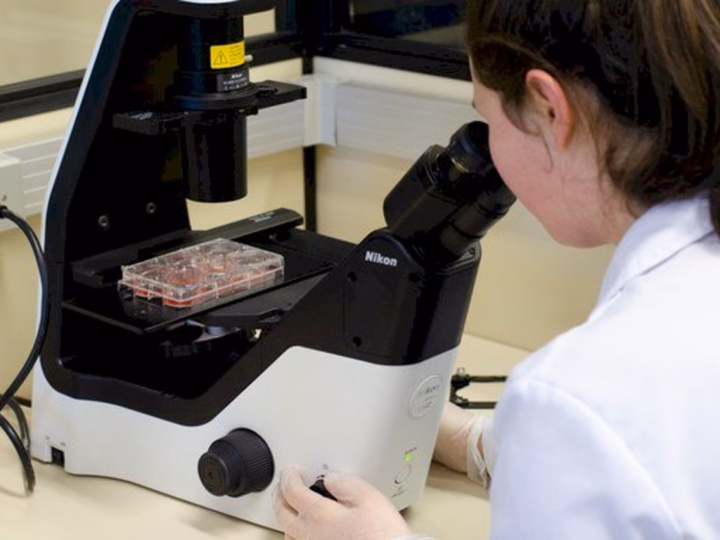 Pesquisa revela impacto das desigualdades no mundo acadêmico