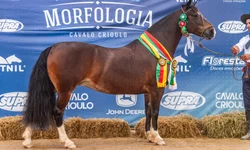 Temporada Hípica Brigada Charrua movimenta o CMU