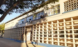 USP cria aparelho que dá diagnóstico em menos de um minuto