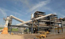 Câmara Federal aprova PL que amplia categorias prioritárias