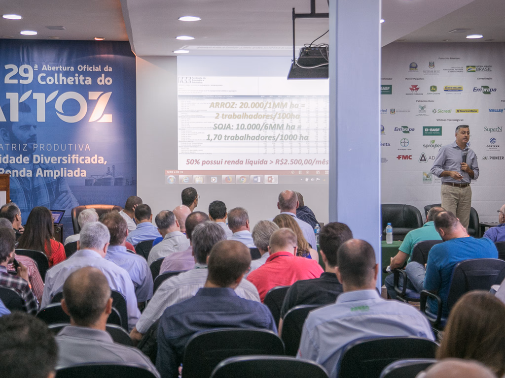 Setor orizícola encaminha reivindicações ao Ministério da Agricultura