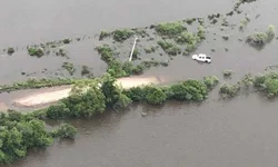Prorrogado prazo para inscrição no programa de Sementes Forrageiras de inverno e verão