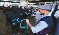 Expointer 2025 teve recorde de público, mas vendeu menos