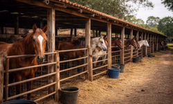 Banco de Sangue está com estoque crítico 