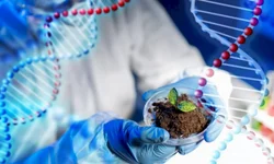 Nanossatélite desenvolvido pela UFSM e Inpe será lançado na segunda