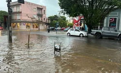 PL reconhece utilidade pública do Conselho de Ministros Evangélicos