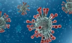 Chegada de variante no Estado é tema de reunião