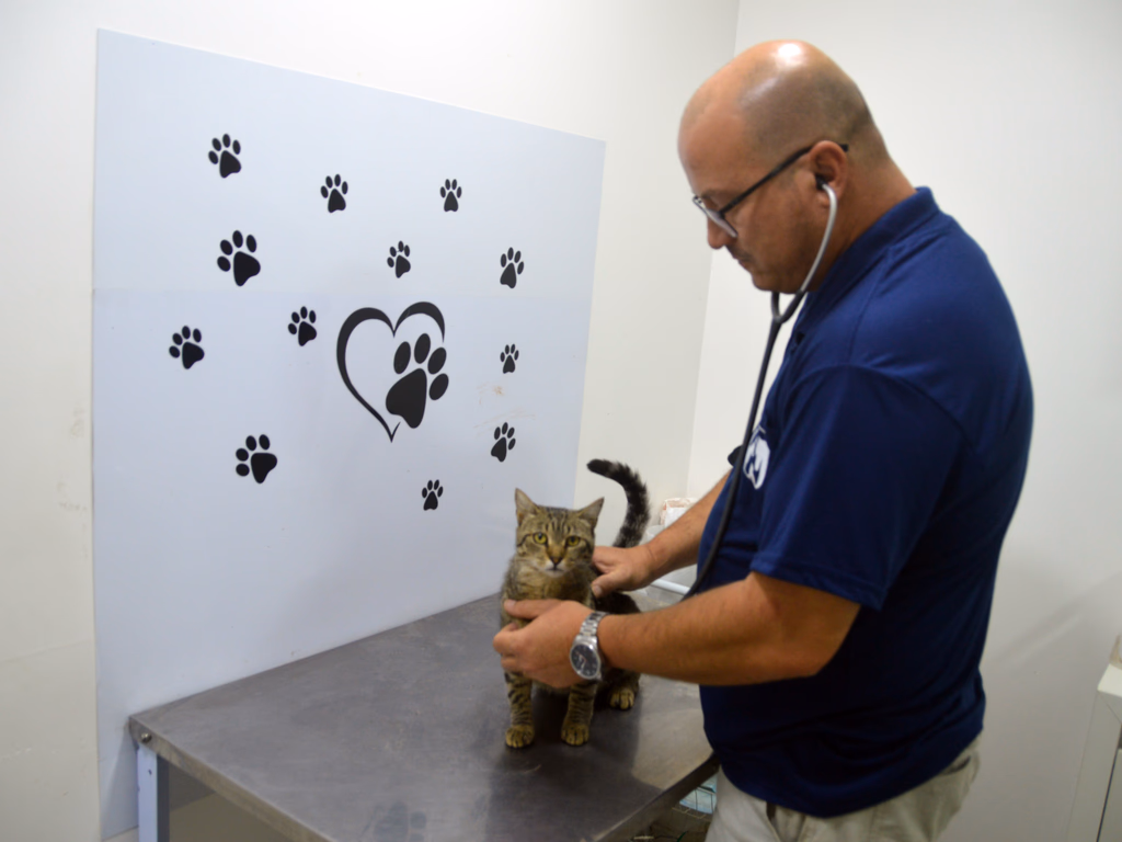 PL dá o nome de Dr. Giovani Dalcastagnê à Clínica Veterinária Municipal