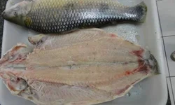 Médicos do Ipe-Saúde paralisam parcialmente em Uruguaiana