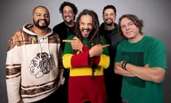 Museu da Comunicação promove ciclo de seminários online