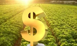 Contratos de crédito rural com pagamento a maior tem direito à restituição