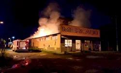 PRF apreende cerca de 50kg de droga