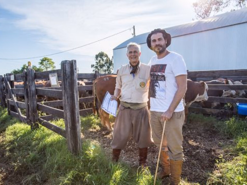Guatambu, Alvorada e Caty registra recorde de preço na raça Hereford