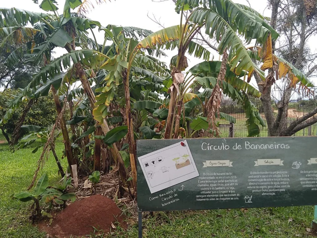 Educação no campo: uma proposta de ensino e prática na agroecologia