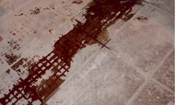 PRF apreende cerca de 50kg de droga