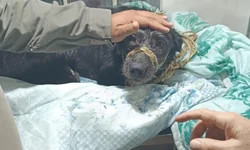 Faltam mais de 174 mil vagas em presídios brasileiros