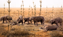 Hora do Enem terá semana focada na primeira prova do Enem 2018