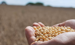 Cinco fatos sobre a escassez de mão de obra rural