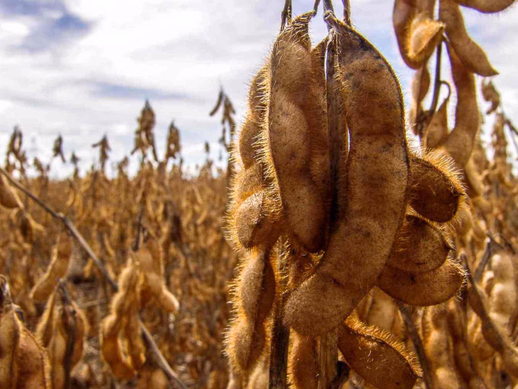 Agro gaúcho exportou US$ 3,54 bilhões no segundo trimestre