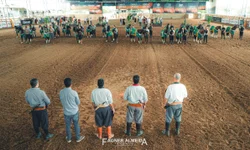 Brasil terá quatro vagas a mais na Morfologia da FICCC