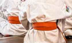 Os lançamentos da Netflix em agosto de 2020