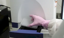 Nova variante é descoberta na França