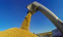 Programa Adote uma Lixeira prevê instalação através de parcerias