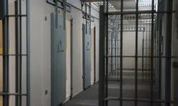 OAB realizará a webinar ‘Literatura, Racismo e Reparação da Escravidão’