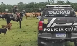 Idoso morre após ataque de cães