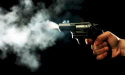 Site que dá garante procedência de poças usadas ampliou vendas nos CDVs