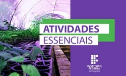 Iniciam as obras da escola Casinha da Emília