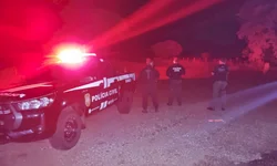 Caminhão com 3,5 toneladas de produtos importados é interceptado