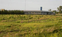 Matrículas da rede estadual encerram no domingo