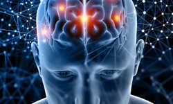 Implante cerebral recupera movimento e sensações de homem tetraplégico