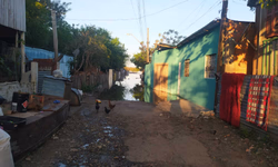 Eleição para o Conselho Tutelar acontece no próximo domingo