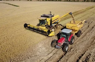 Rio Grande do Sul colheu 79,3% da lavoura de arroz