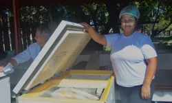 Feira do Peixe 2026 terá variedade de produtos e preços acessíveis