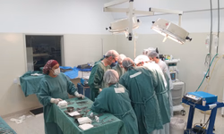 MEC lança guias para orientar o uso de celulares na escola