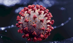 Assinada ordem para a reforma do Teatro