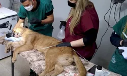 Projeto vai levar o turismo para as salas de aula