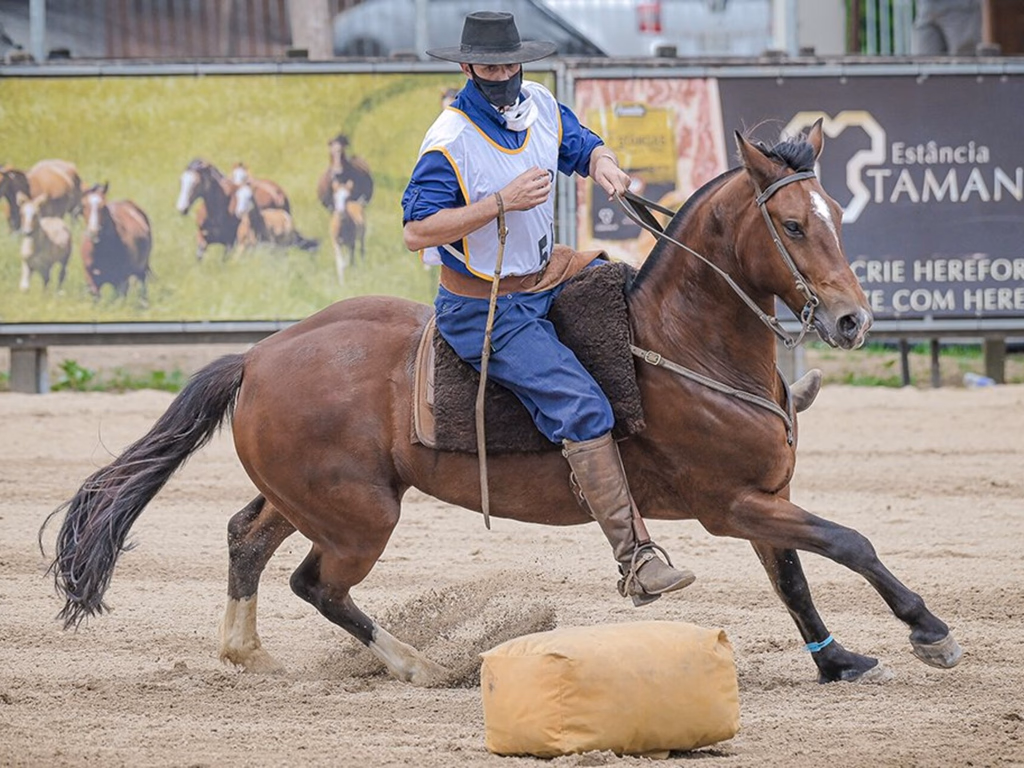 Freio do Proprietário apresenta os campeões do ciclo de 2020