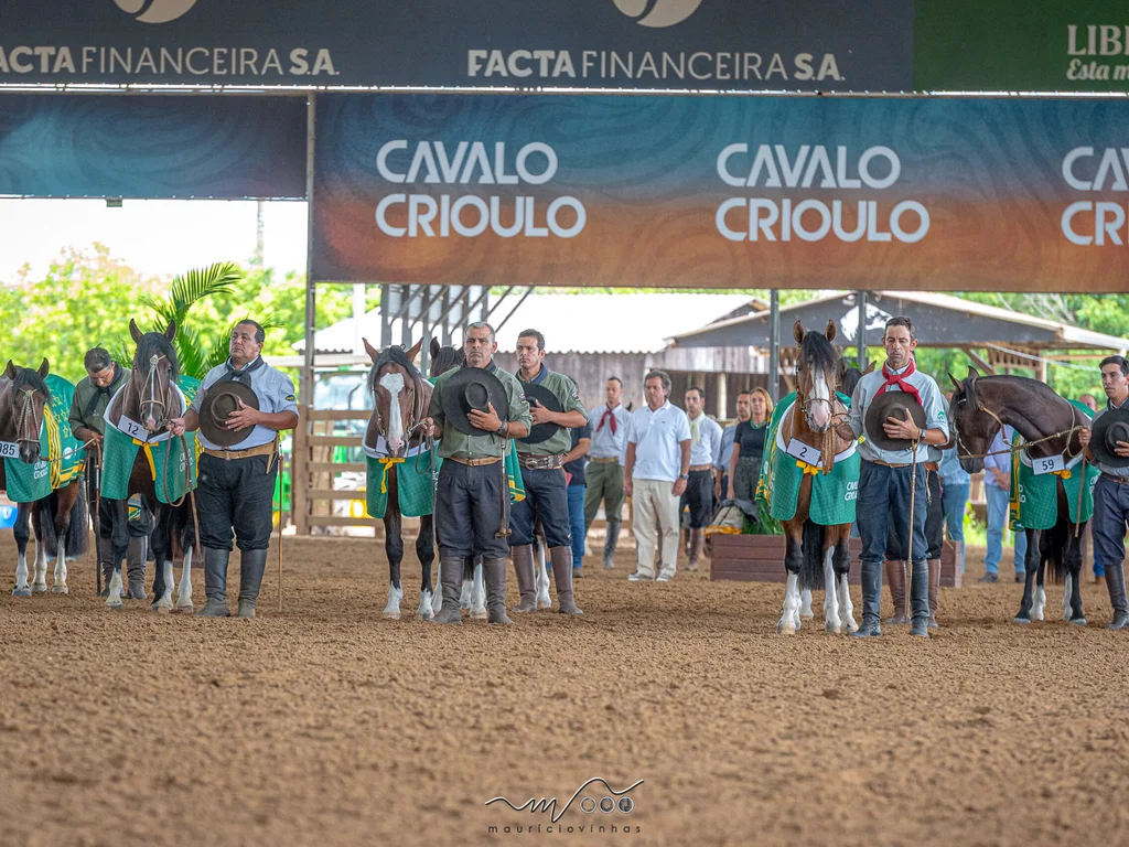 Criadores têm até dia 23 para se inscrever na Expo FICCC 2026